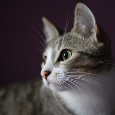 1920 x 1080 HD Wallpapers 2293